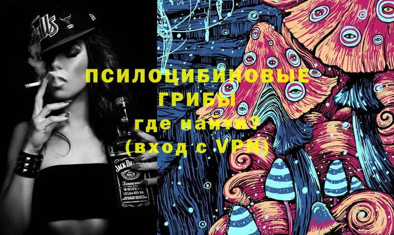 Псилоцибиновые грибы MAGIC MUSHROOMS  KRAKEN зеркало  Дмитровск 